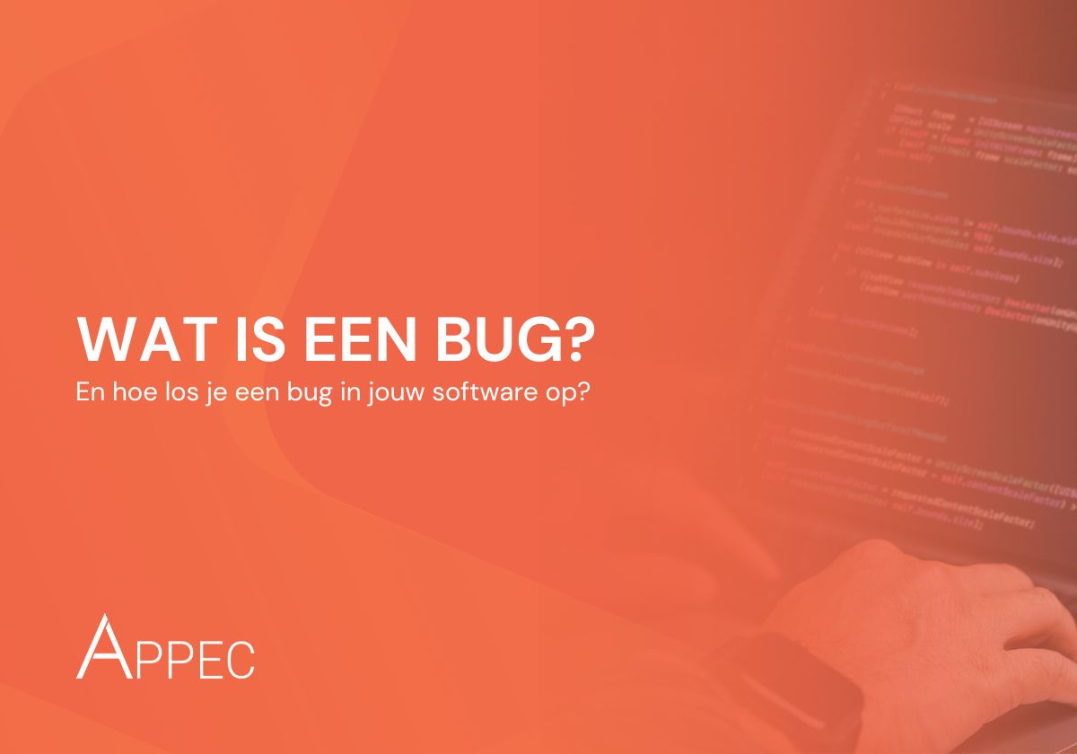 De vraag 'wat is een bug?' en daarnaast iemand die programmeert