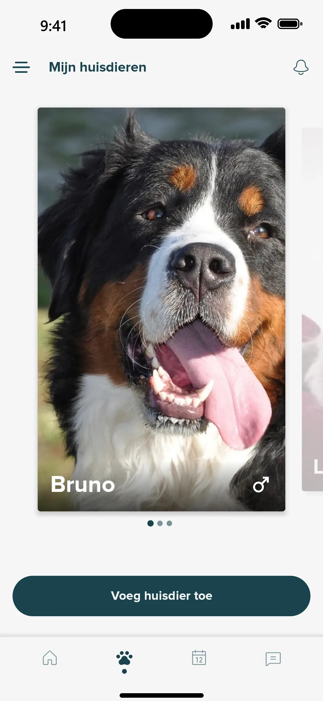 Mijn huisdieren